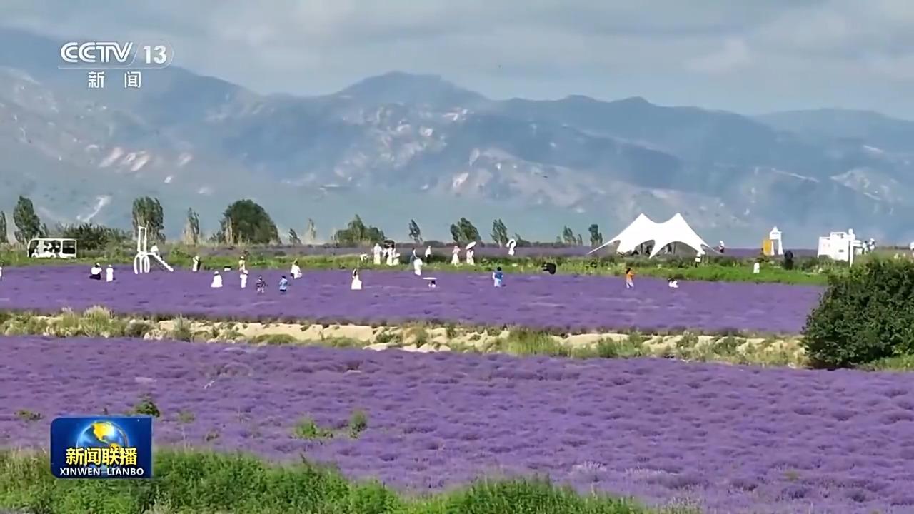 新思想引领新征程丨绘就乡村全面振兴壮美画卷