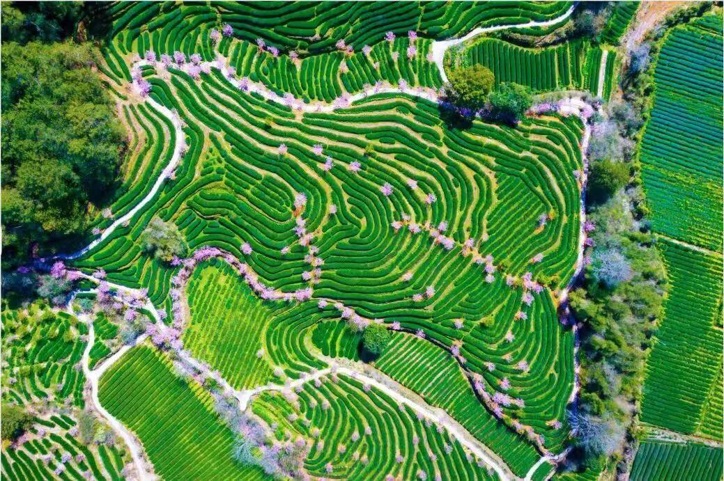 奋勇争先系列述评① | 征程风劲 奋勇争先