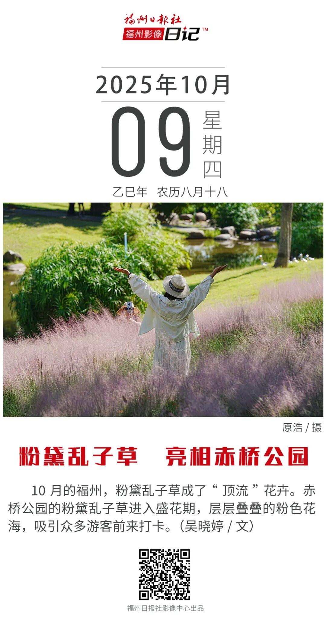 粉色浪漫！福州秋日“顶流”上线！