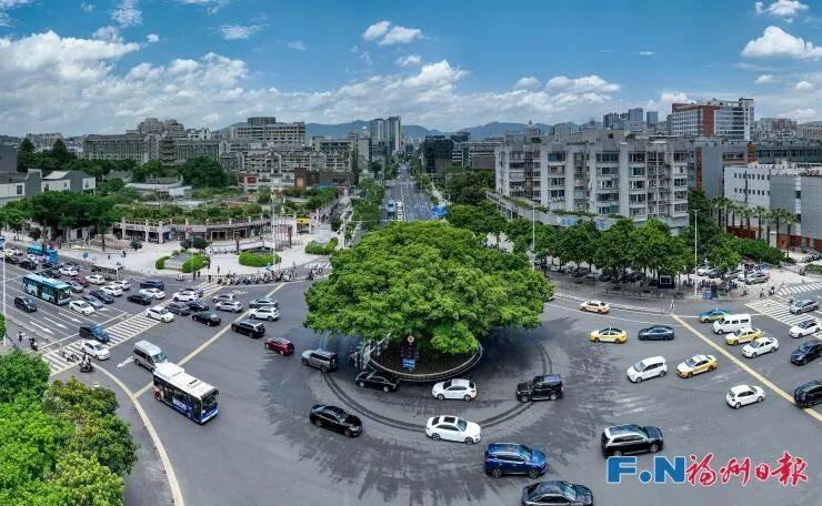 听懂了！它们才是刻在DNA里的福州“原住民”→