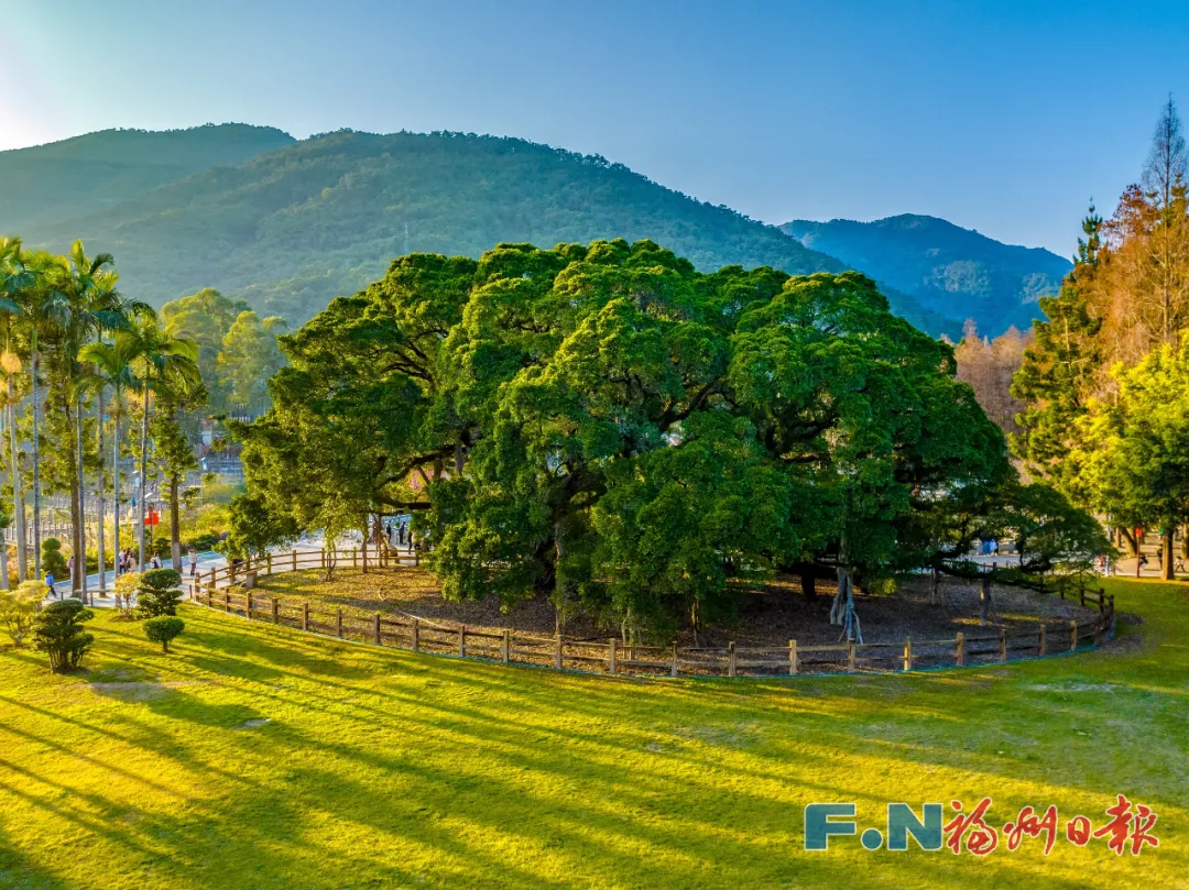 听懂了！它们才是刻在DNA里的福州“原住民”→