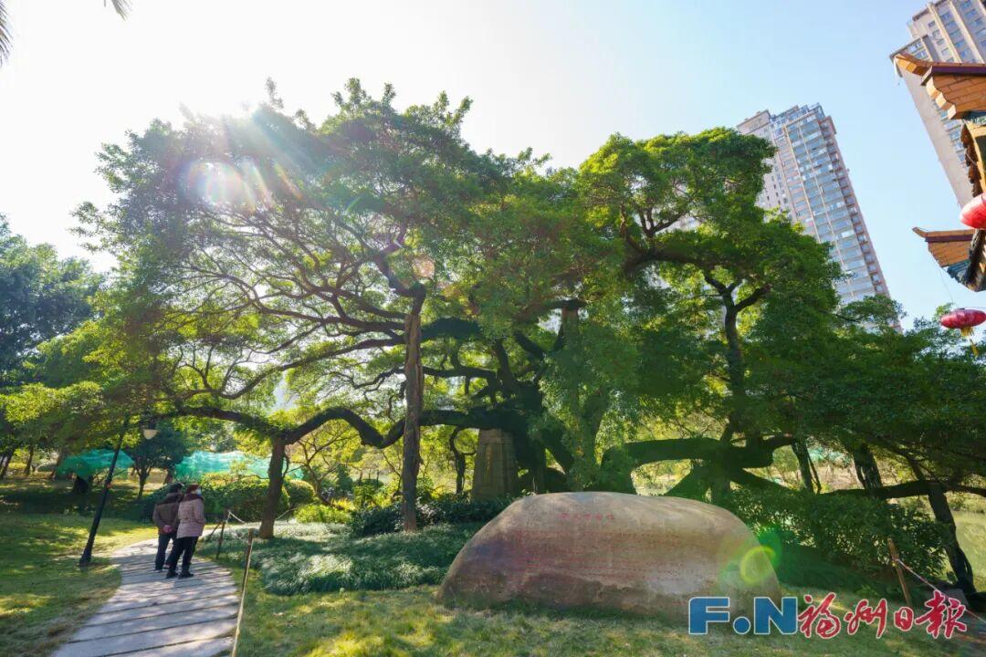 听懂了！它们才是刻在DNA里的福州“原住民”→