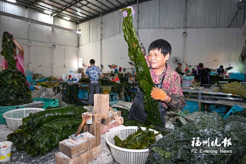 海上福州风帆劲 奋楫逐浪勇争先