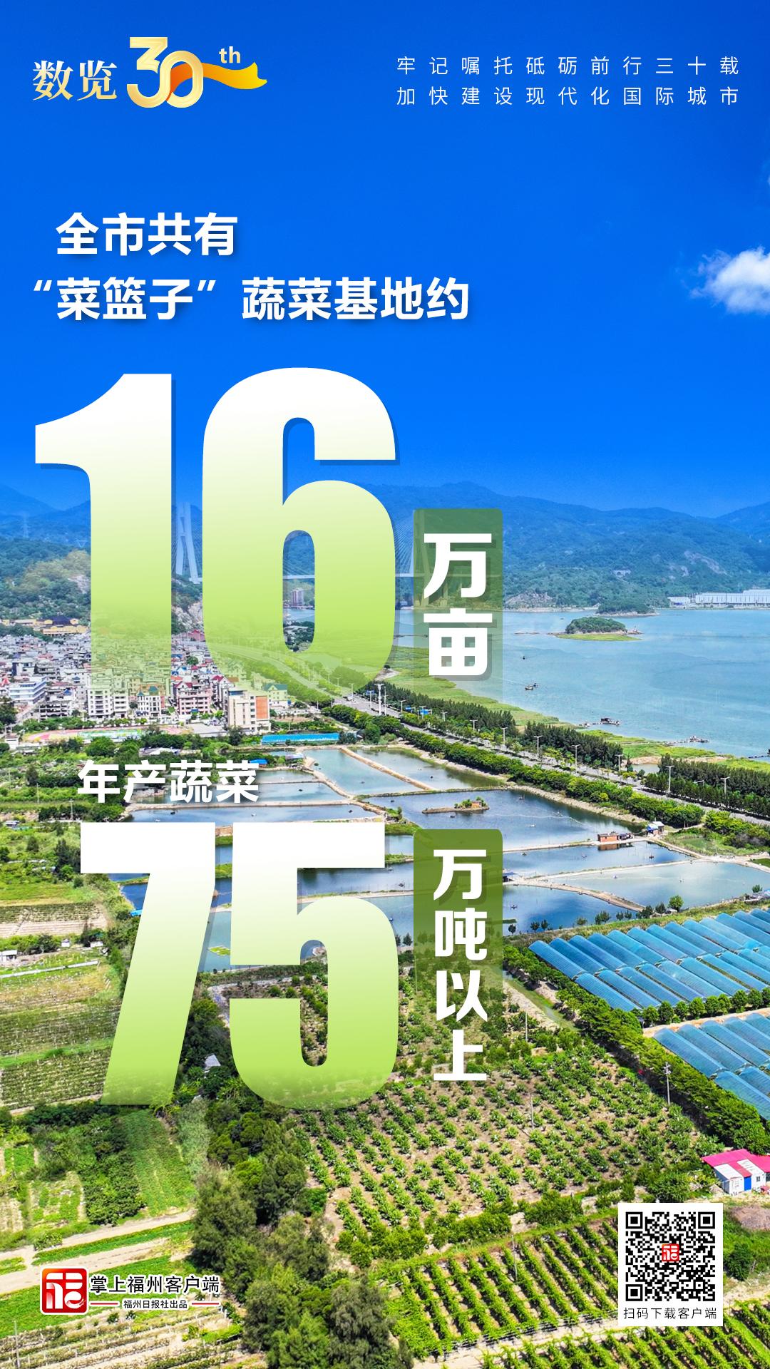 数览30年｜全市共有“菜篮子”蔬菜基地约16万亩年产蔬菜75万吨以上