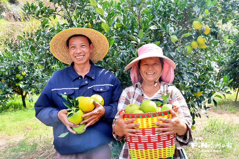 连江蓼沿“花果山”结出致富果
