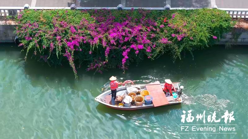 福州：管养迭代升级 内河“养颜有术”