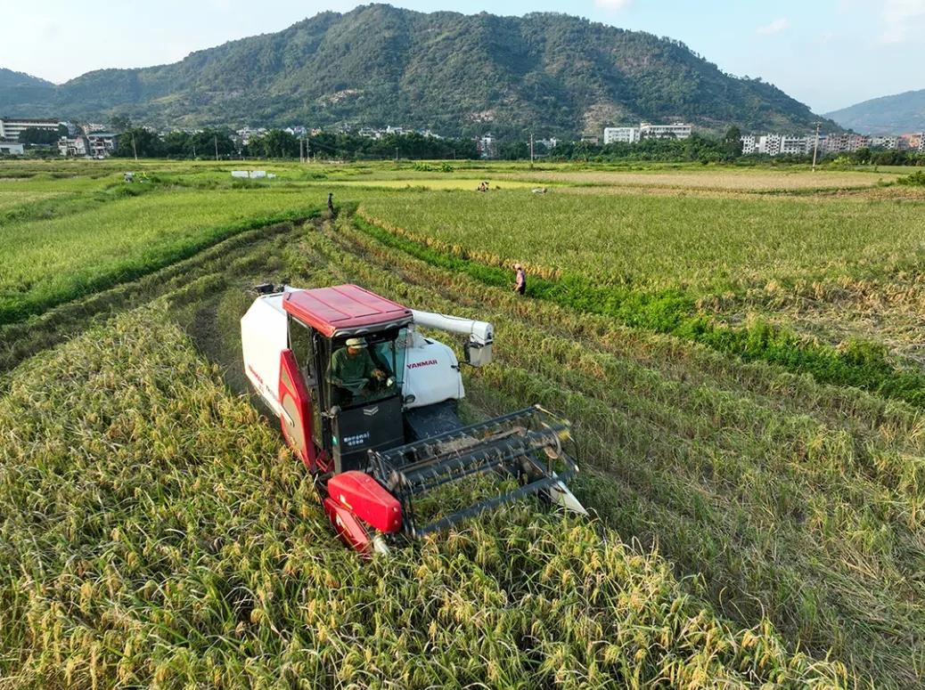这是秋天最治愈的“丰收色”！