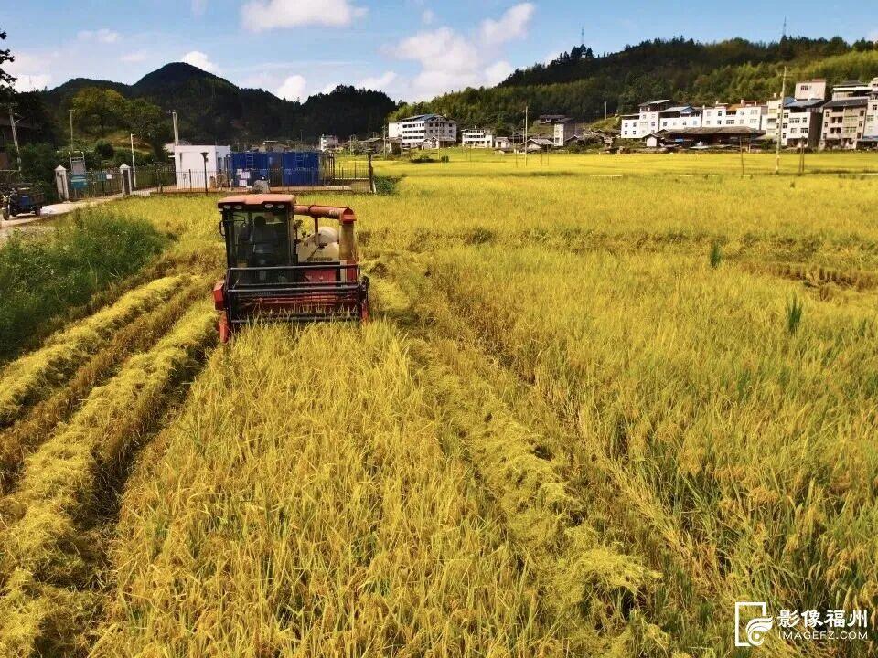 这是秋天最治愈的“丰收色”！