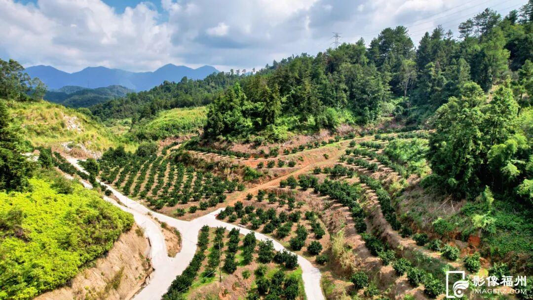 这是秋天最治愈的“丰收色”！