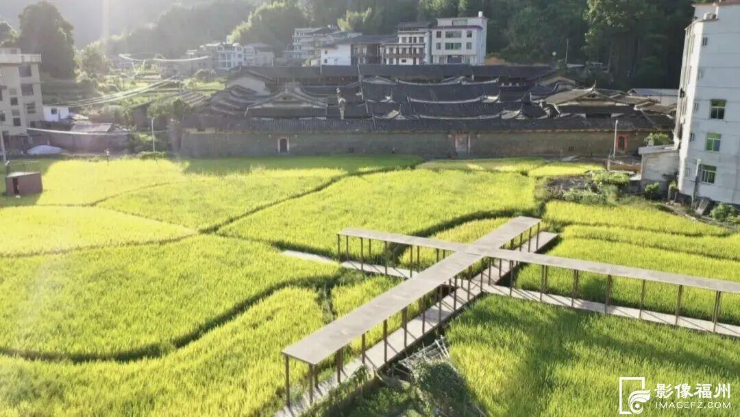 这是秋天最治愈的“丰收色”！