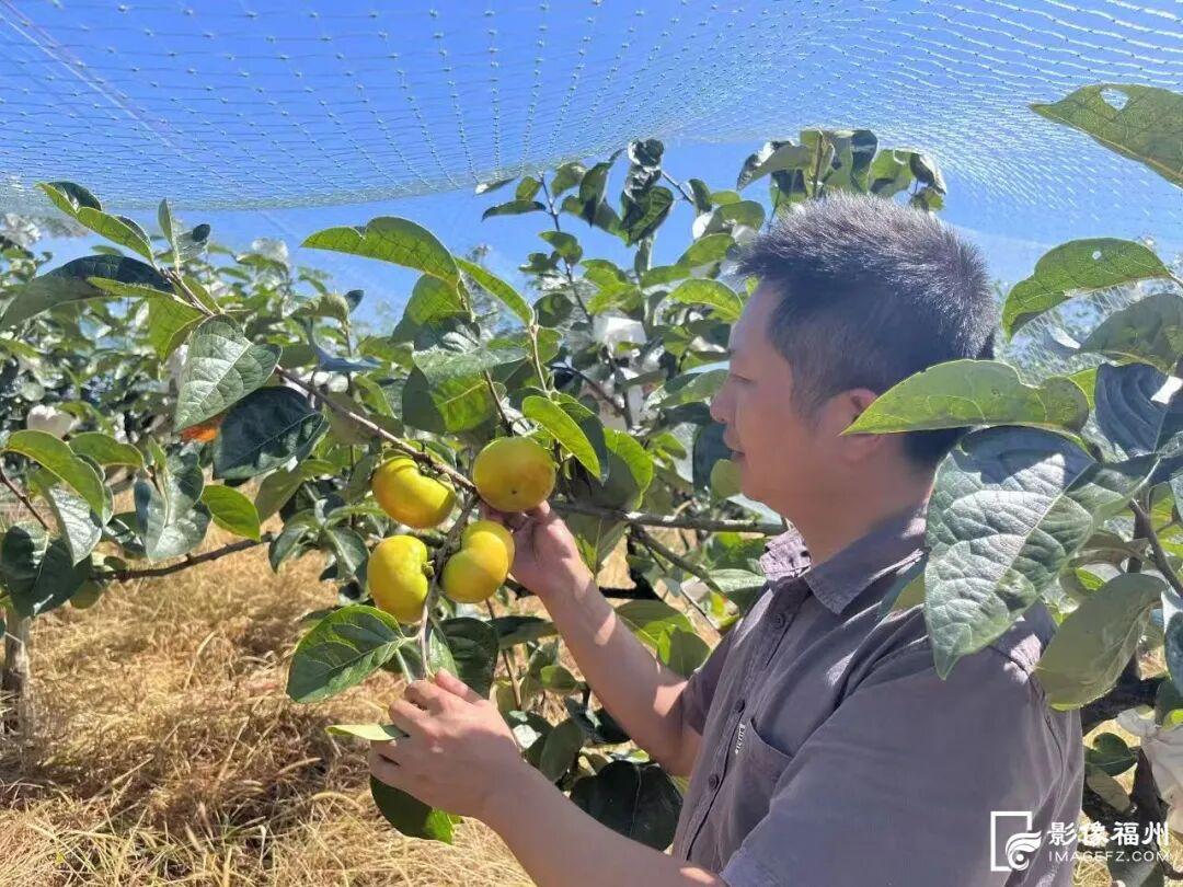 这是秋天最治愈的“丰收色”！