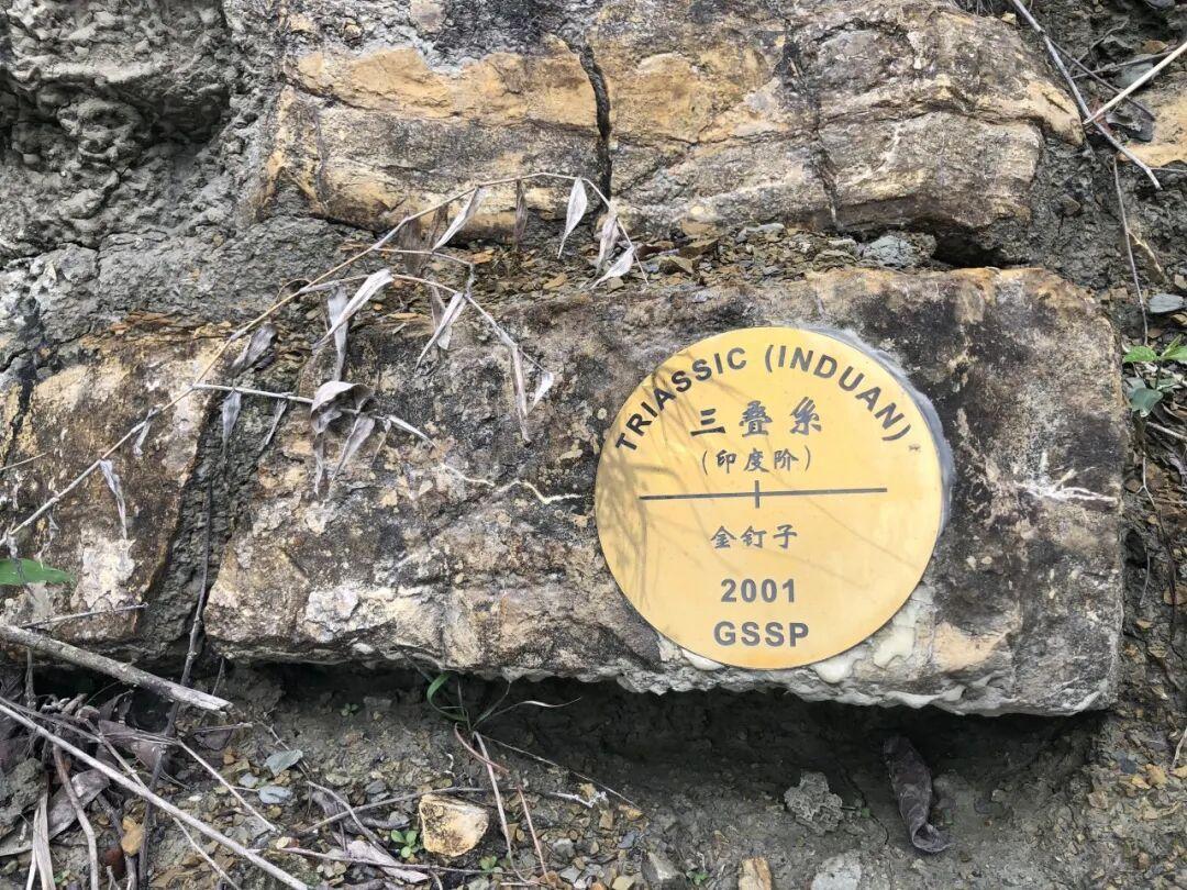 这种“金钉子” 中国已有11颗