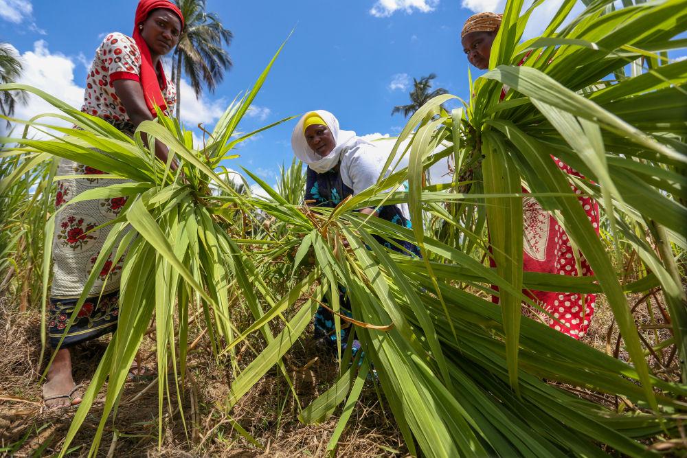 心相近｜赋能“她力量”，中国在行动