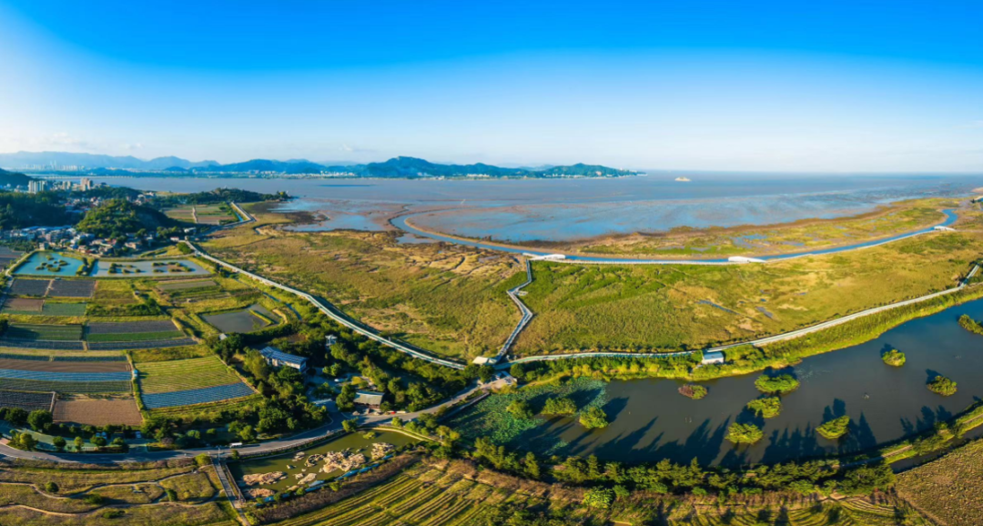 藏不住了！福州这里最绝场面即将来了！错过等一年！