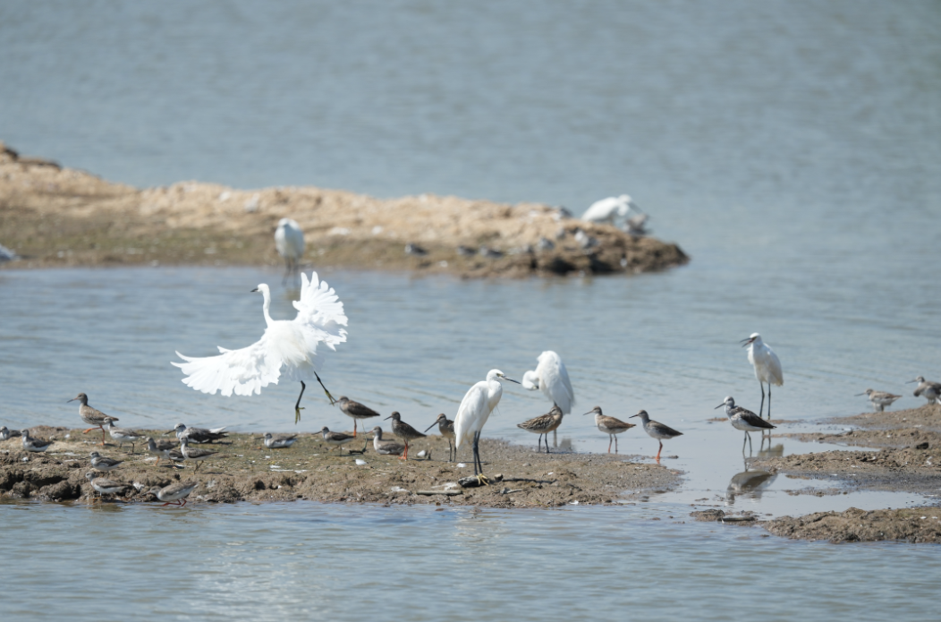 藏不住了！福州这里最绝场面即将来了！错过等一年！