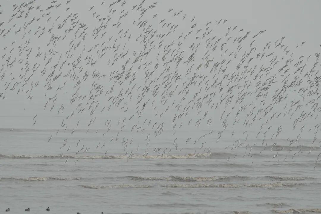 藏不住了！福州这里最绝场面即将来了！错过等一年！