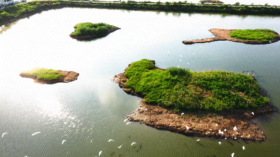 藏不住了！福州这里最绝场面即将来了！错过等一年！