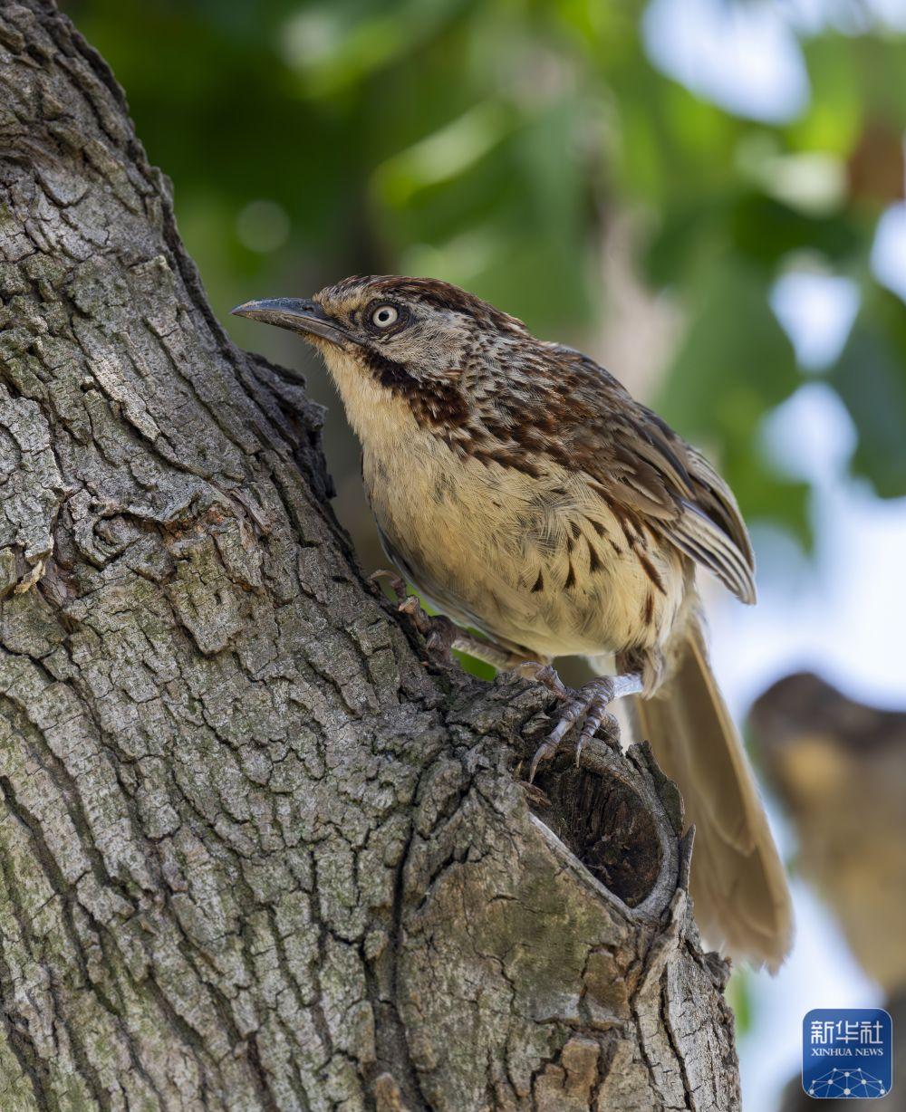 福建：候鸟乐园
