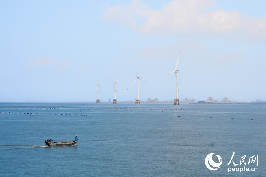 人民网探访福清“海味”农民丰收节：海岸边上卖渔获