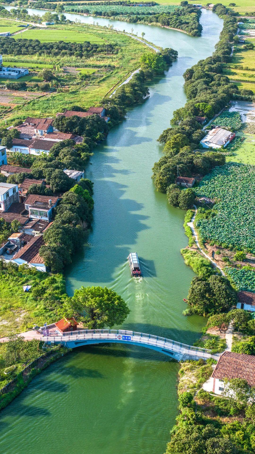 奋勇争先这一年：笃行不怠的莆田