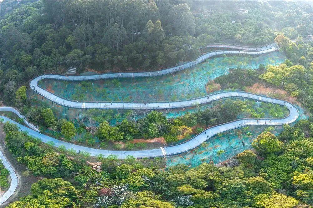 奋勇争先这一年：笃行不怠的莆田