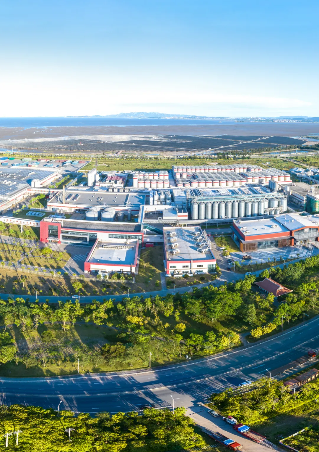 奋勇争先这一年：笃行不怠的莆田