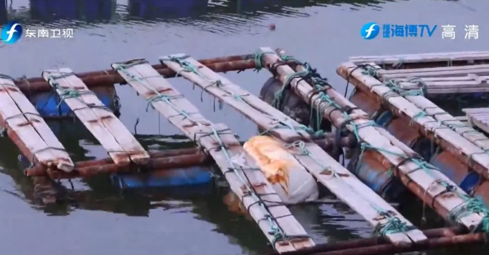 闽人智慧 | 原来，这就是全国“渔状元”的养成秘籍