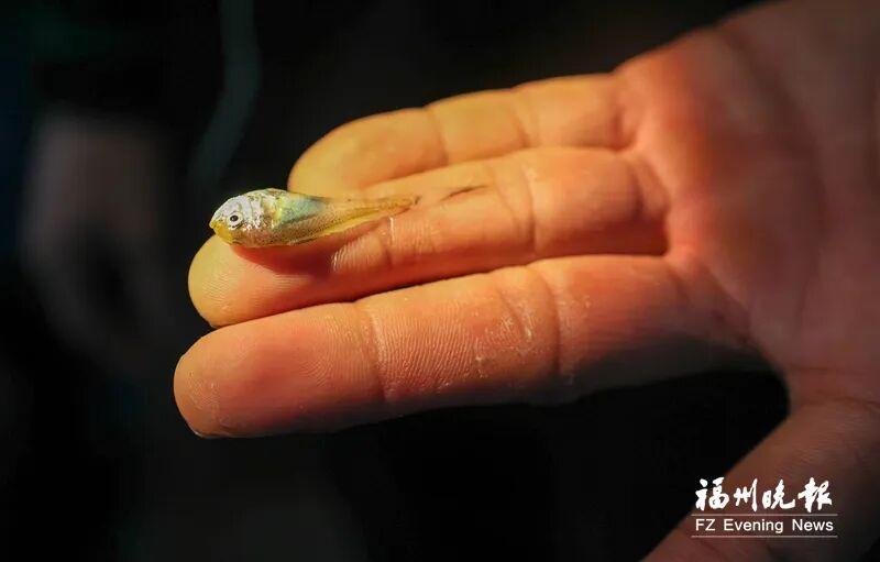 闽人智慧 | 原来，这就是全国“渔状元”的养成秘籍