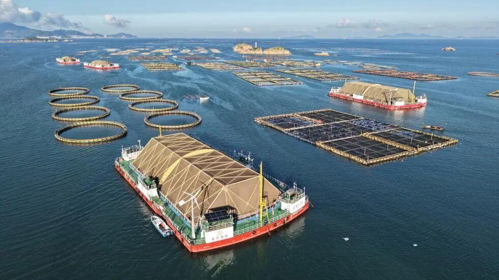 闽人智慧 | 原来，这就是全国“渔状元”的养成秘籍