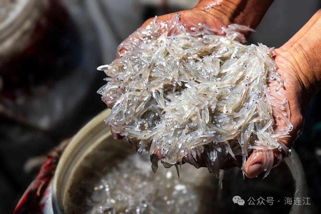 福州人超爱的这口，火热上市！今年价格→