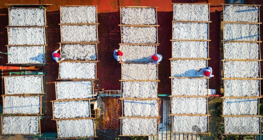 福州人超爱的这口，火热上市！今年价格→