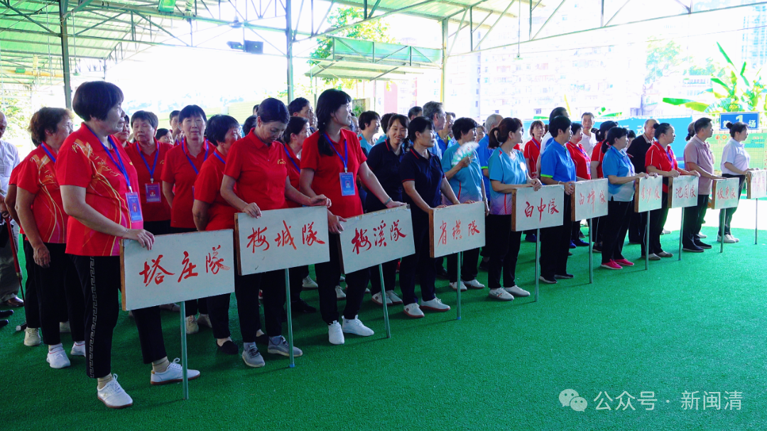 挥杆对决展风采！闽清县第八届运动会（乡镇组）门球比赛圆满结束