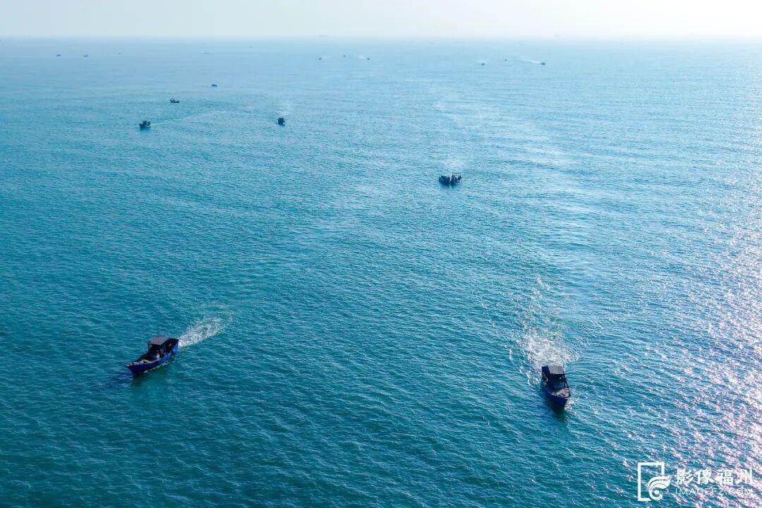 洁白如雪！这一口鲜，福州人都爱吃