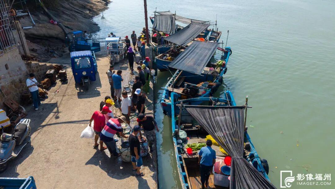 洁白如雪！这一口鲜，福州人都爱吃
