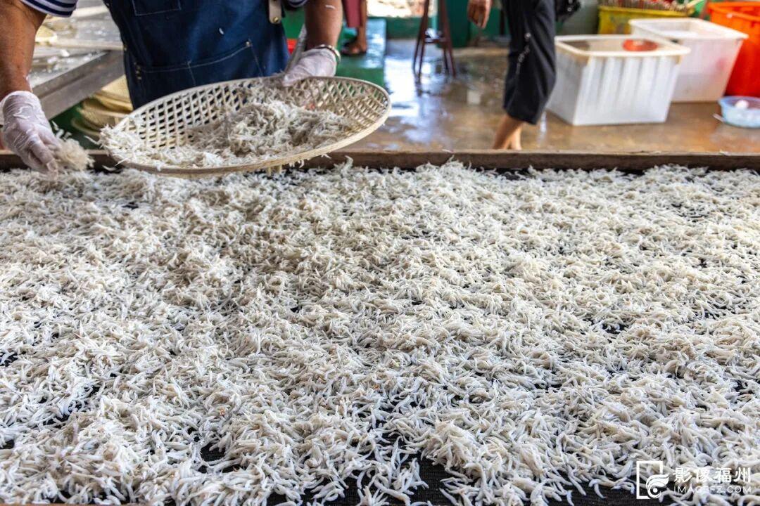 洁白如雪！这一口鲜，福州人都爱吃