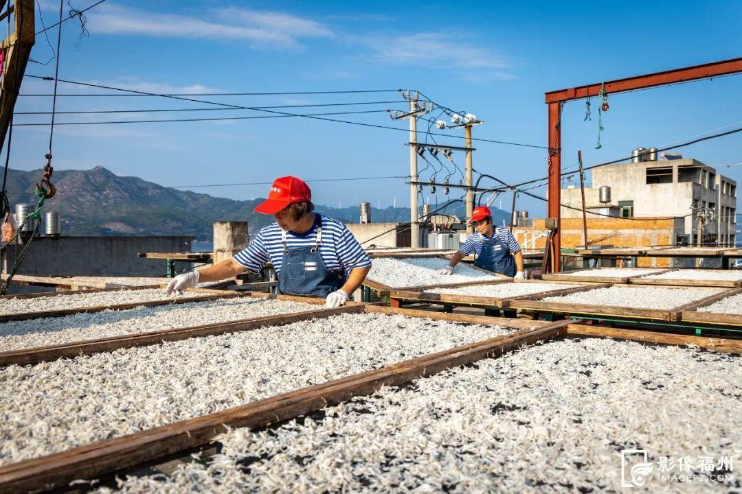 洁白如雪！这一口鲜，福州人都爱吃