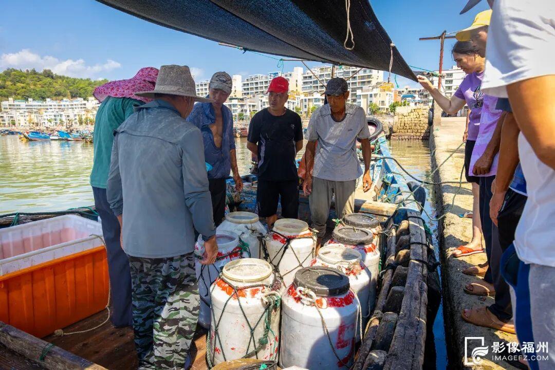 洁白如雪！这一口鲜，福州人都爱吃