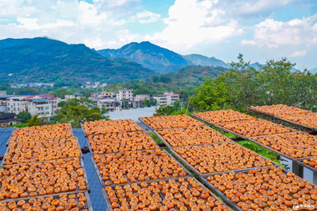 红了！福州版“晒秋”有点甜！