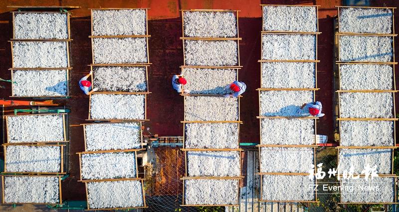 连江“思乡鱼”上央视