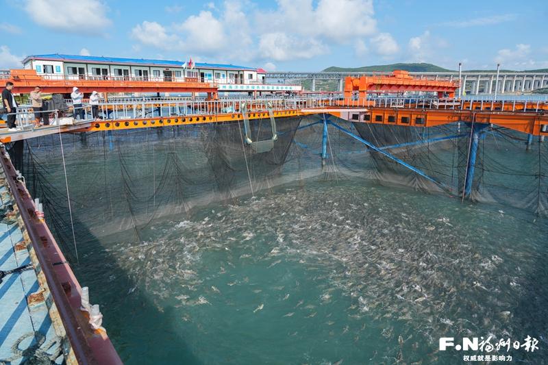 福州新区（长乐区）：风劲潮涌气象新