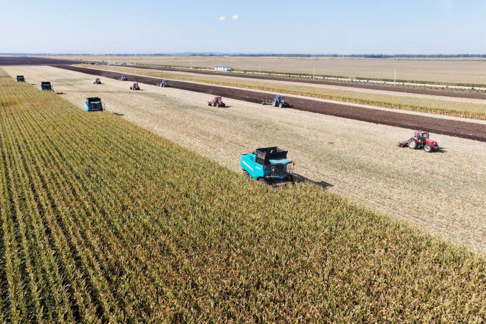 深刻揭示新时代发展规律——习近平经济思想引领新时代经济工作述评之二