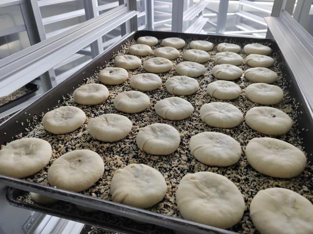 全国首个！永泰葱饼基地开启规模化标准化生产！