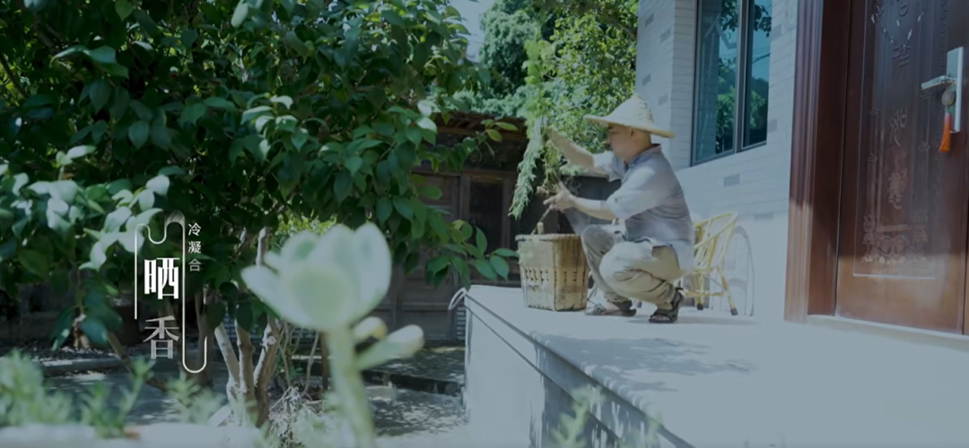 讲述福州｜《红楼梦》记载的“冷香”，在福州有传人！
