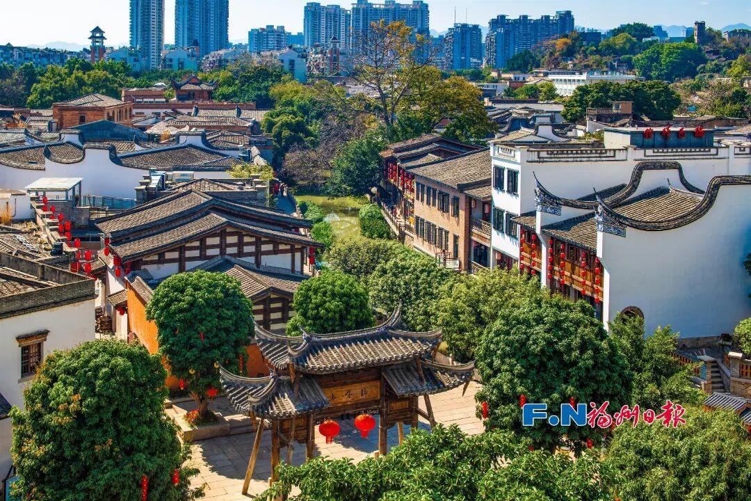 讲述福州｜《红楼梦》记载的“冷香”，在福州有传人！