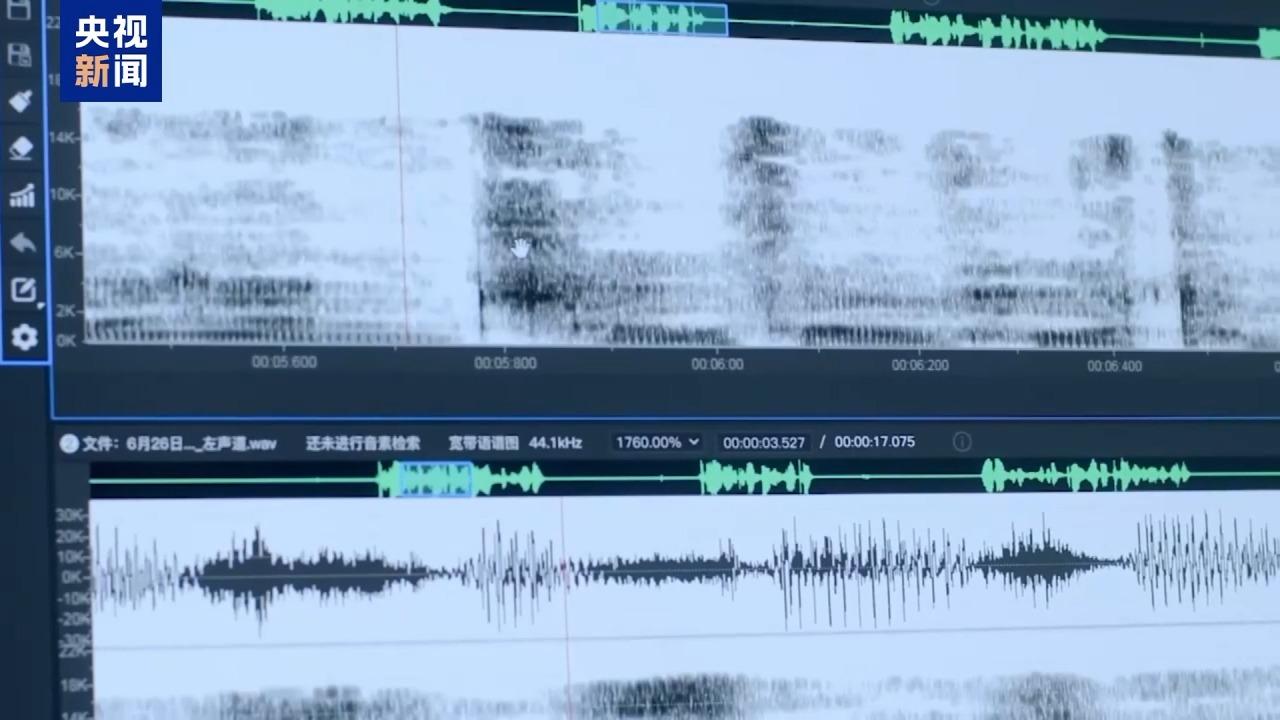 犯罪集团迅速“崛起” 手段残忍！缅北果敢“新兴势力”徐老发案细节曝光