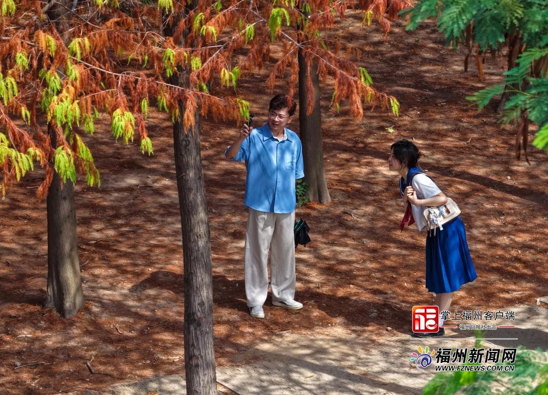 读城｜提前一个多月 乌龙江湿地收获秋日红杉