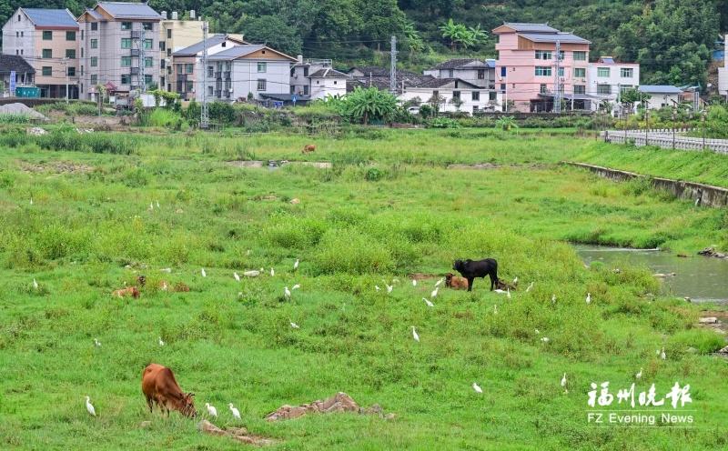 闽清文定村：文脉传承 文化赋能