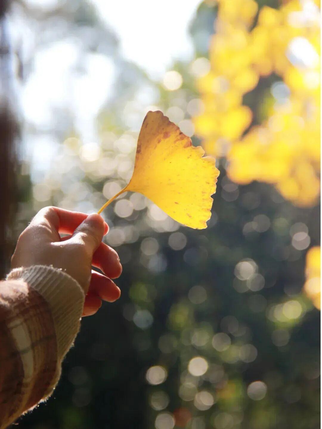 美美美！福州这里即将迎来颜值高峰！