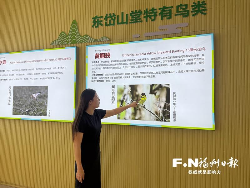 连江山堂村：从普通乡村到观鸟“圣地”