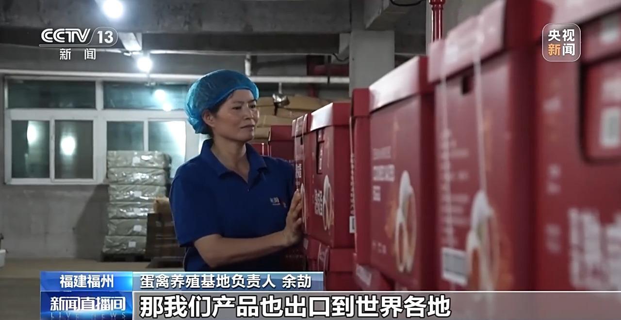 央视关注福州：国外鸡蛋价格飞涨 我们的蛋价为何稳得住